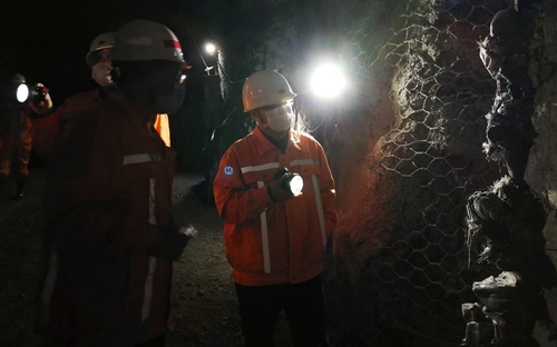 王大真檢查礦業公司杉樹埡礦疫情防控和復工復產工作(圖2) 王大真檢查礦業公司杉樹埡礦疫情防控和復工復產工作(圖2)