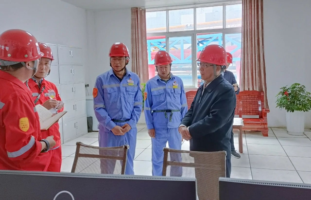 王大真到松滋肥業、楚星公司和股份公司現場檢查安全生產工作(圖3)