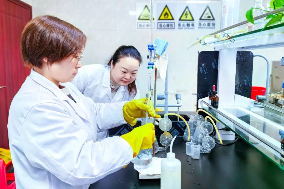 【宜化榜樣】股份公司黃冬燕：立足分析崗位，爭當技術能手(圖5)