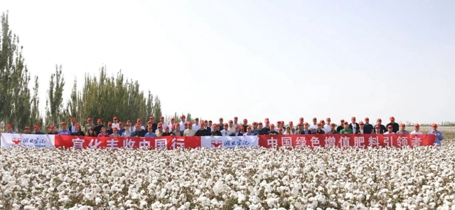 宜化豐收中國行！新疆棉花大型測產(chǎn)觀摩會(huì)成功舉行