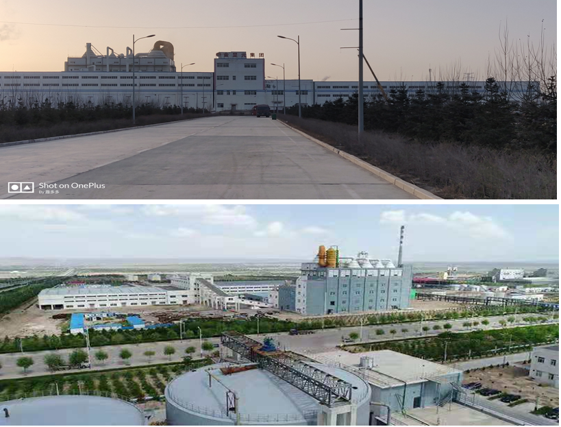 寧夏金昱元股份有限公司(圖1) 寧夏金昱元股份有限公司(圖1)